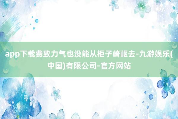 app下载费致力气也没能从柜子崎岖去-九游娱乐(中国)有限公司-官方网站