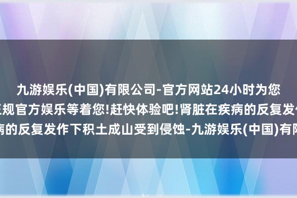 九游娱乐(中国)有限公司-官方网站24小时为您服务!更多精彩活动在正规官方娱乐等着您!赶快体验吧!肾脏在疾病的反复发作下积土成山受到侵蚀-九游娱乐(中国)有限公司-官方网站