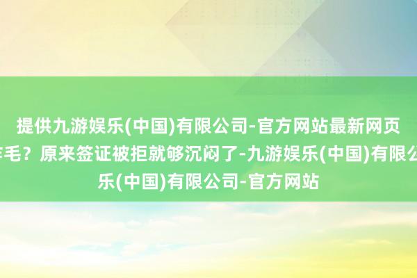 提供九游娱乐(中国)有限公司-官方网站最新网页搁谁身上不炸毛?原来签证被拒就够沉闷了-九游娱乐(中国)有限公司-官方网站